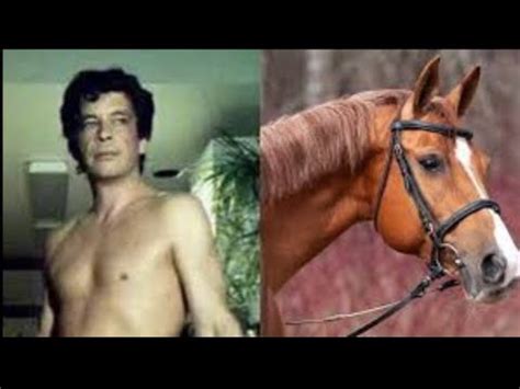 The Story Of Mr. Hands…aka 2 Guys 1 Horse - YouTube
