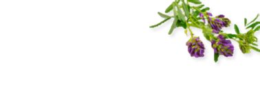 Glutathione Forte | Get Glowing Skin | Healeo Nutrition