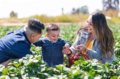 The Abundant Table at McGrath Family Farm | Explore | Metrolink