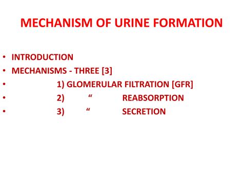 SOLUTION: How is urine formed learn easy - Studypool
