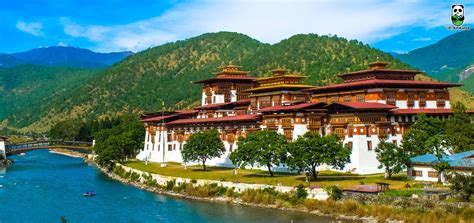 TrekPanda :Best Trekking and Backpacking company in India