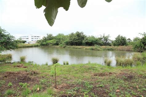 Humedales, ecosistemas vitales para la biodiversidad - TSM Noticias