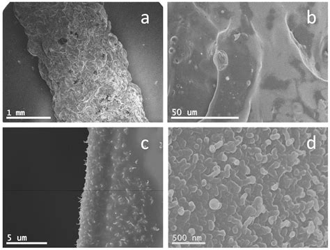 Finger-Like Carbon-Based Nanostructures Produced by Combustion of Flour ...