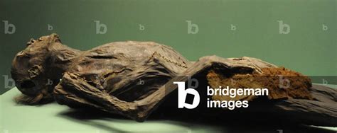 Image of Pazyryk culture. 6th-3rd centures BC. Mummy of Pazyryk chief ...