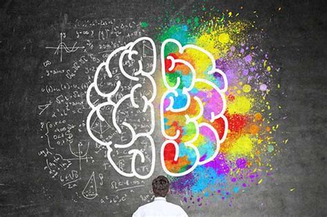 Behaviour Science 的图像结果