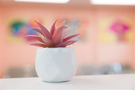 Our Center abortion clinic in NJ - Pilgrim Medical Center