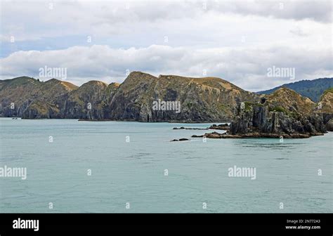 Cook Strait 的图像结果