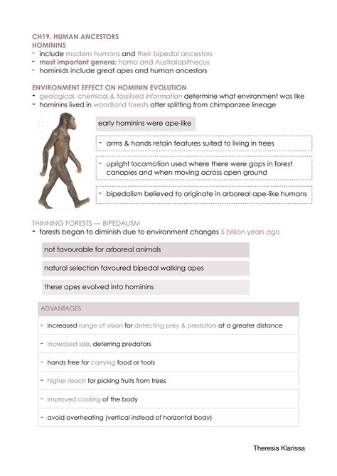 SOLUTION: Human Perspectives 3&4 ATAR: Human Evolution - Studypool