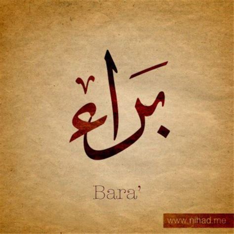 Baraa SQL Lessons 的图像结果