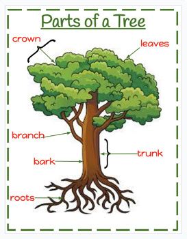 Image result for Tree Structure HTML/CSS