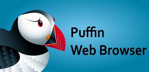 Puffin瀏覽器:軟體特點,評測,基本功能,瀏覽國外網站,點評,套用截圖,中國大_中文百科全書