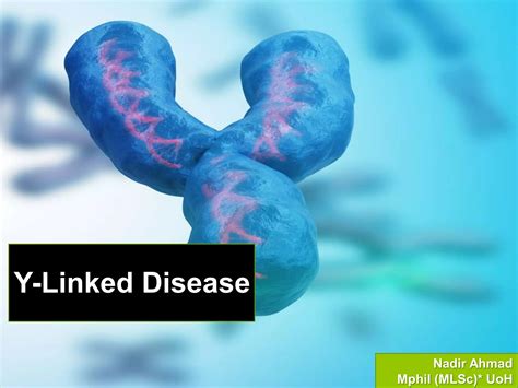 Examples Of Y Linked Disorders
