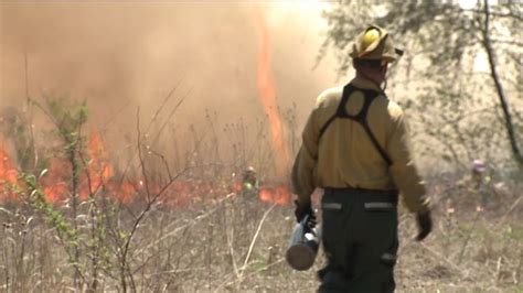 DNR sets brush fire for the birds!? | FOX6 Milwaukee