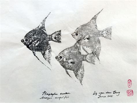 How to gyotaku outdoors international – Artofit