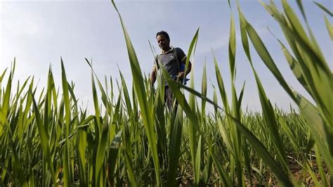 Integrated agri devolpment prog to be implemented in 73 panchayats