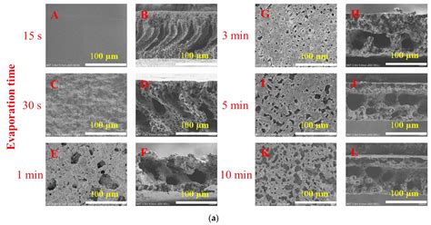 Preparation of Lateral Flow PVDF Membrane via Combined Vapor- and Non ...