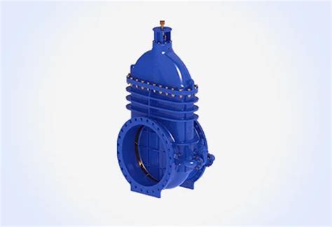 Gate Valve – Best Valves Manufacturer and Supplier in India