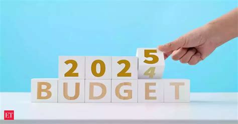 Union Budget 2025: IB gets Rs 3,893.35 crore, allocation for NATGRID ...