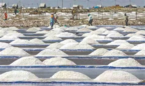 Salt from Gujarat to offset declining stocks in Thoothukudi