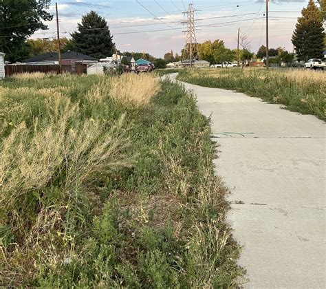 Native Landscape Restoration in Athmar Park - Denver Park Trust