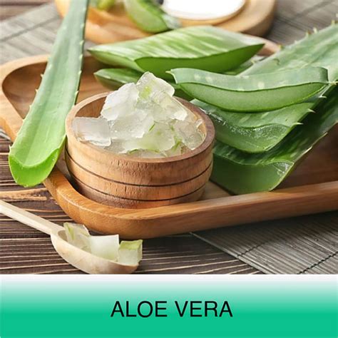 Buy Lacto Calamine Daily Cleansing Face Wipes Online - Wellify