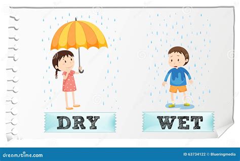 Wet Dry Vs Wet Dry Wet at Tamara Hall blog