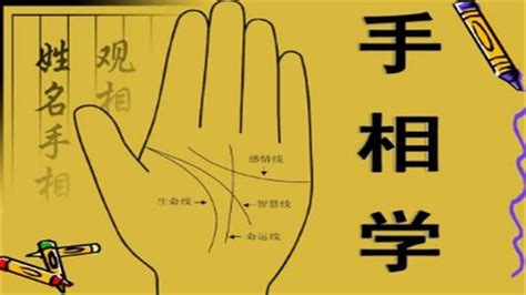 手指上的斗和簸箕代表什么，主要和人们的性格与命运相关 手指上的斗和簸箕代表什么意思-周易算命网