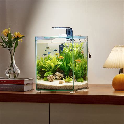 5 Gallon Fish Tank Aquarium Is A 5 Gallon Tank Big Enough For A