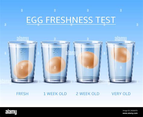 Egg Water Glass Test at Jewel Simmons blog