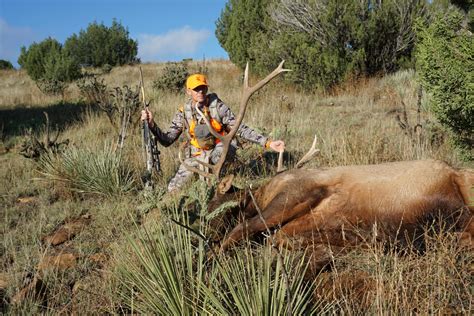 Colorado Elk Hunting: How to Kill Bulls in the Centennial St
