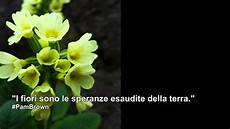 frasi e fiori le parole dei fiori frasi e fiori le parole dei fiori