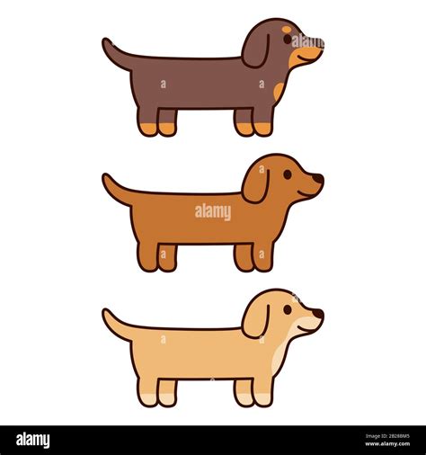 Three cartoon Dachshunds, black, brown and cream color. Cute and simple ...