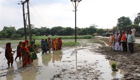 Krishi Vigyan Kendra, Darbhanga