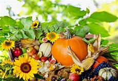 Background Free Thanksgiving Wallpaper For Computer by Thanksgiving Wallpapers Hd Background Free Thanksgiving Wallpaper For Computer