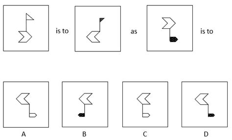 Image result for Pi Cognitive Assessment Sample Questions