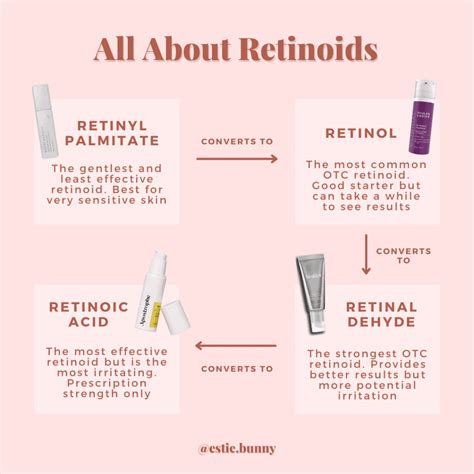 Retinol vs Retinoid - The 4 Main Types of Retinoids - Estie Bunny