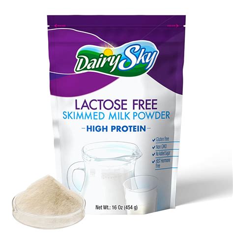 Buy DairySky Lactose Free Milk Powder 16oz - Skim Powdered Milk Non GMO ...