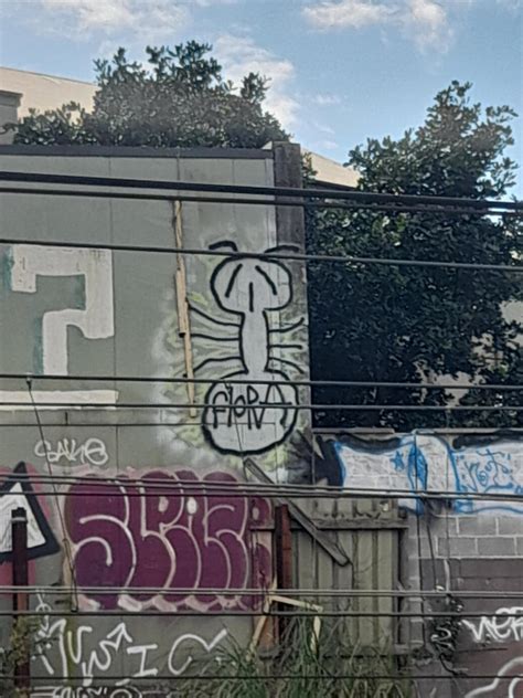 What the hell does NTR mean? Does it have multiple definitions? : r ...