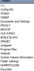 TreeView File Explorer 的图像结果