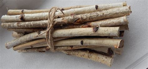 Craft Sticks 的图像结果