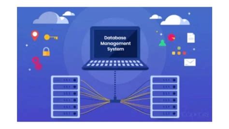 Image result for Oracle Database PL/SQL Developer
