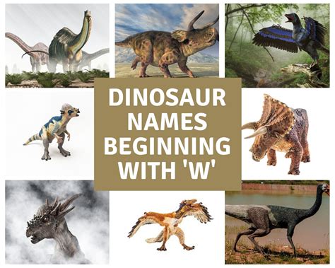 Discover The Fascinating World Of Dinosaurs That Start With W