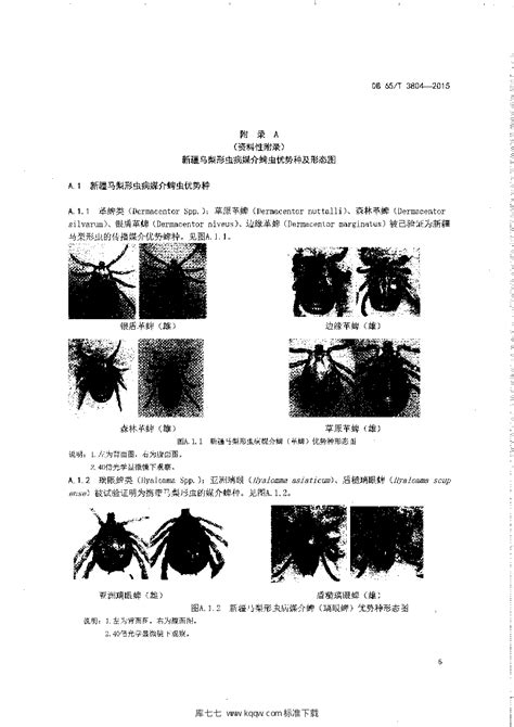 【DB65∕T 3804-2015】 马梨形虫病防治技术规范