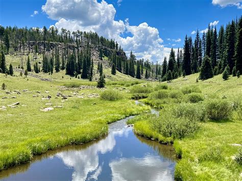 Visit the White Mountains of Arizona