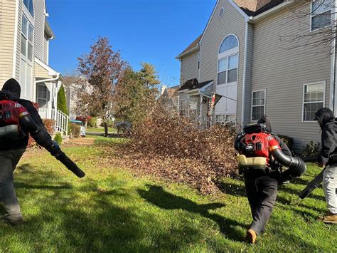 Image result for Spring Clean Up
