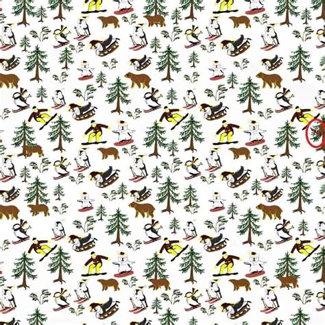 Optical Illusion Test: Can you find the eagle in the alpine forest ...