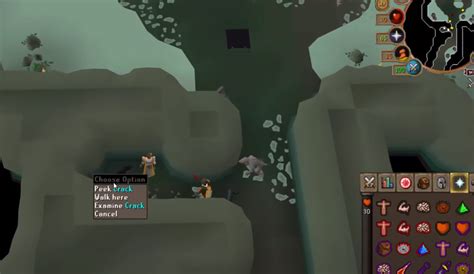 Image result for Kingdaggenoth Guide OSRS