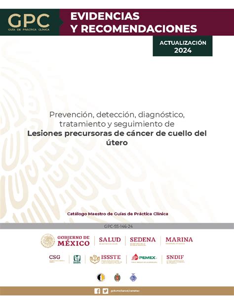 GPC-SS-146-24: Actualización de la Guía Clínica sobre Cáncer ...