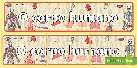 O corpo humano painel de exibição