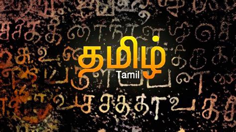 What Language is Tamil: A Journey Through Its Origins, Structure, and Influence